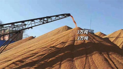 國常會重磅！實施新一輪千億斤糧食產能提升行動